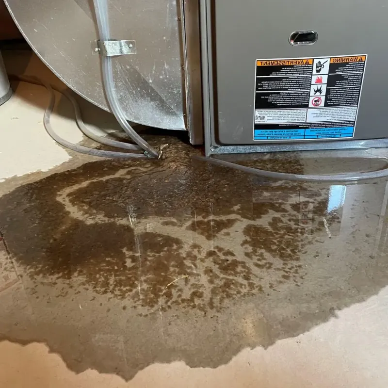 Pipe Burst and Leak Restoration in Uintah County, UT